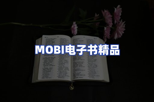 外文电子书产品
